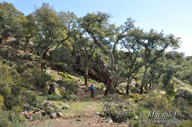 Garganta de la Pulga (nuevo trazado)