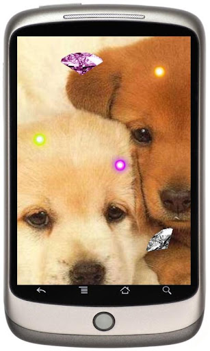 Beauty Puppies Game LWP