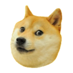 Cover Image of Download Doge 2048 2.3.0-such-good APK