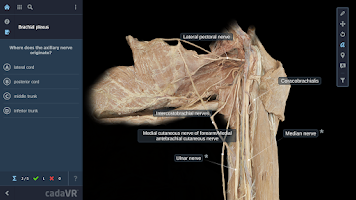 cadaVR anatomy Screenshot 3 of 5