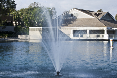 slow shutter speed example