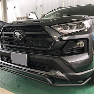 RAV4 MXAA54