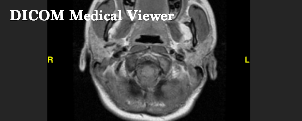 Dicom Medical Viewer Preview image 2