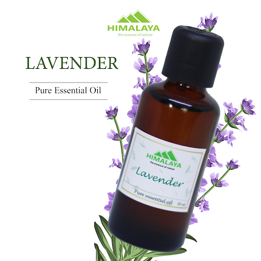 Tinh dầu thiên nhiên Himalaya mùi Lavender P.O (50 ml)