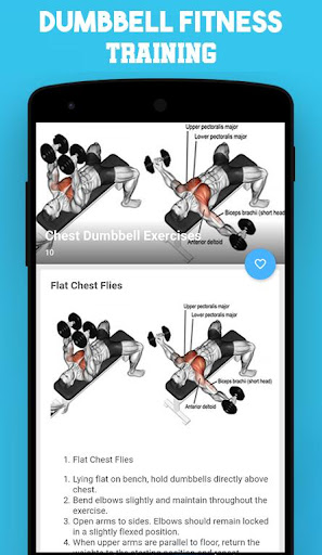 Dumbbell Home Workout exercises