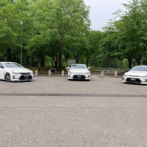 マークX GRX133