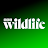 BBC Wildlife Magazine icon