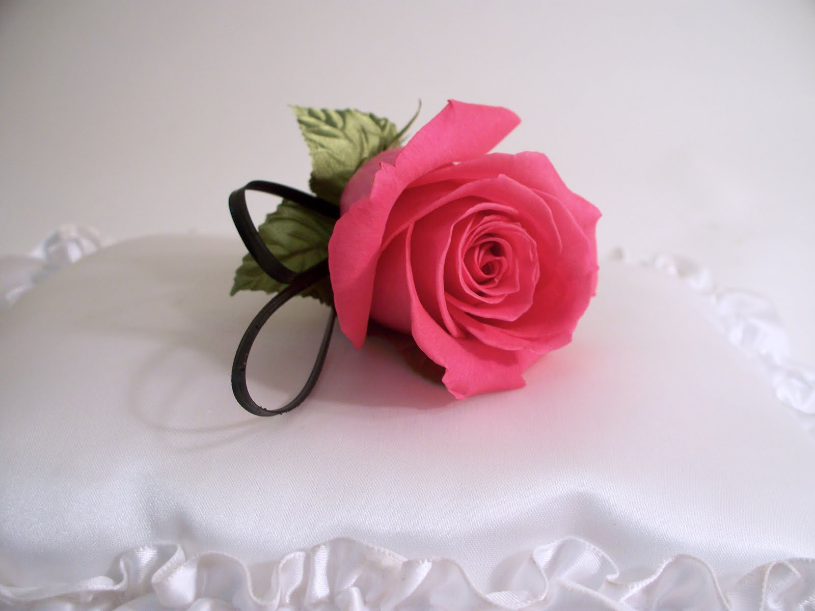 A lovely hot pink rose with