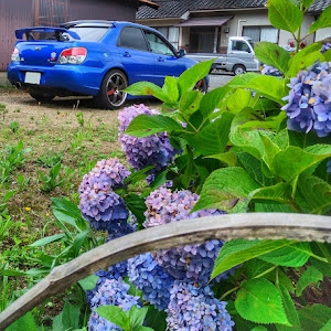 インプレッサ WRX STI GDB