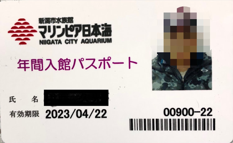 ガケガケミッチーさんが投稿した新潟・アライブフーン・マリンピア日本海に関するカスタム事例の投稿画像2枚目