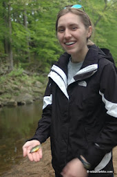tiny sunfish