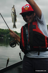 2 flies = 2 fish by 6th grader 