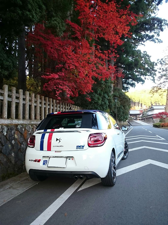 DS3 カブリオの高野山・紅葉・早朝ドライブ・オープンカー・世界遺産に関するカスタム事例の投稿画像7枚目