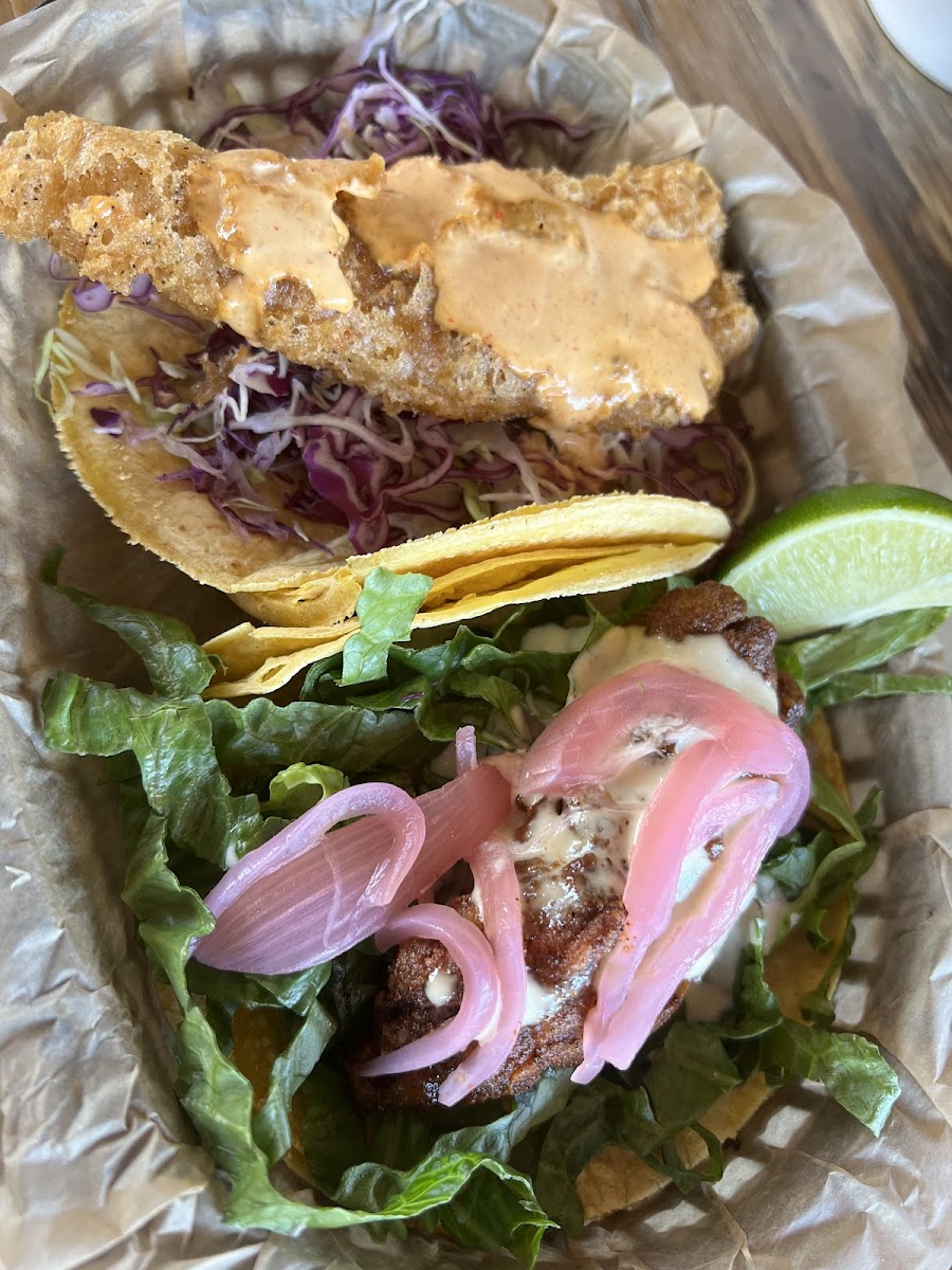 Fish taco and Nashville taco