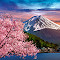 Item logo image for Fuji mountain with cherry blossoms in spring, Japan