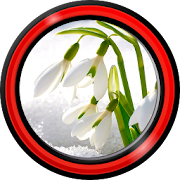 Snowdrops Live Wallpapers  Icon