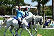 The dancing white stallions of the South African lipizzaners.