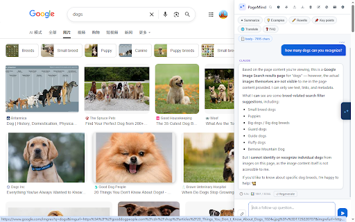 PageMind screenshot 4