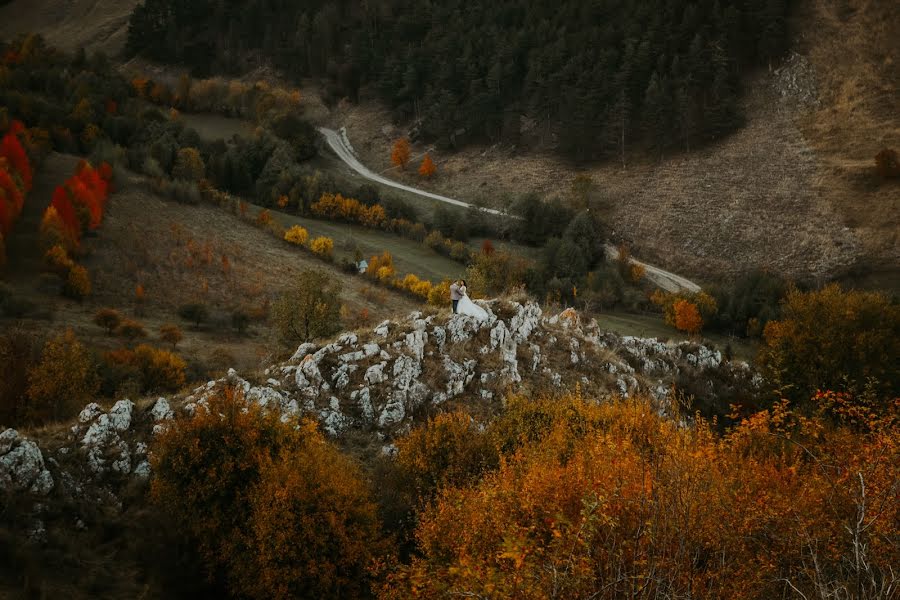 Düğün fotoğrafçısı Ionut Vaidean (vaidean). 22 Ekim 2019 fotoları