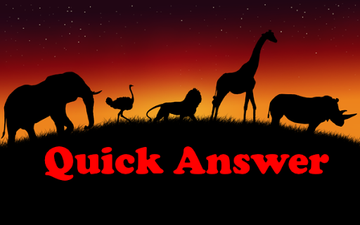 QuickAnswer