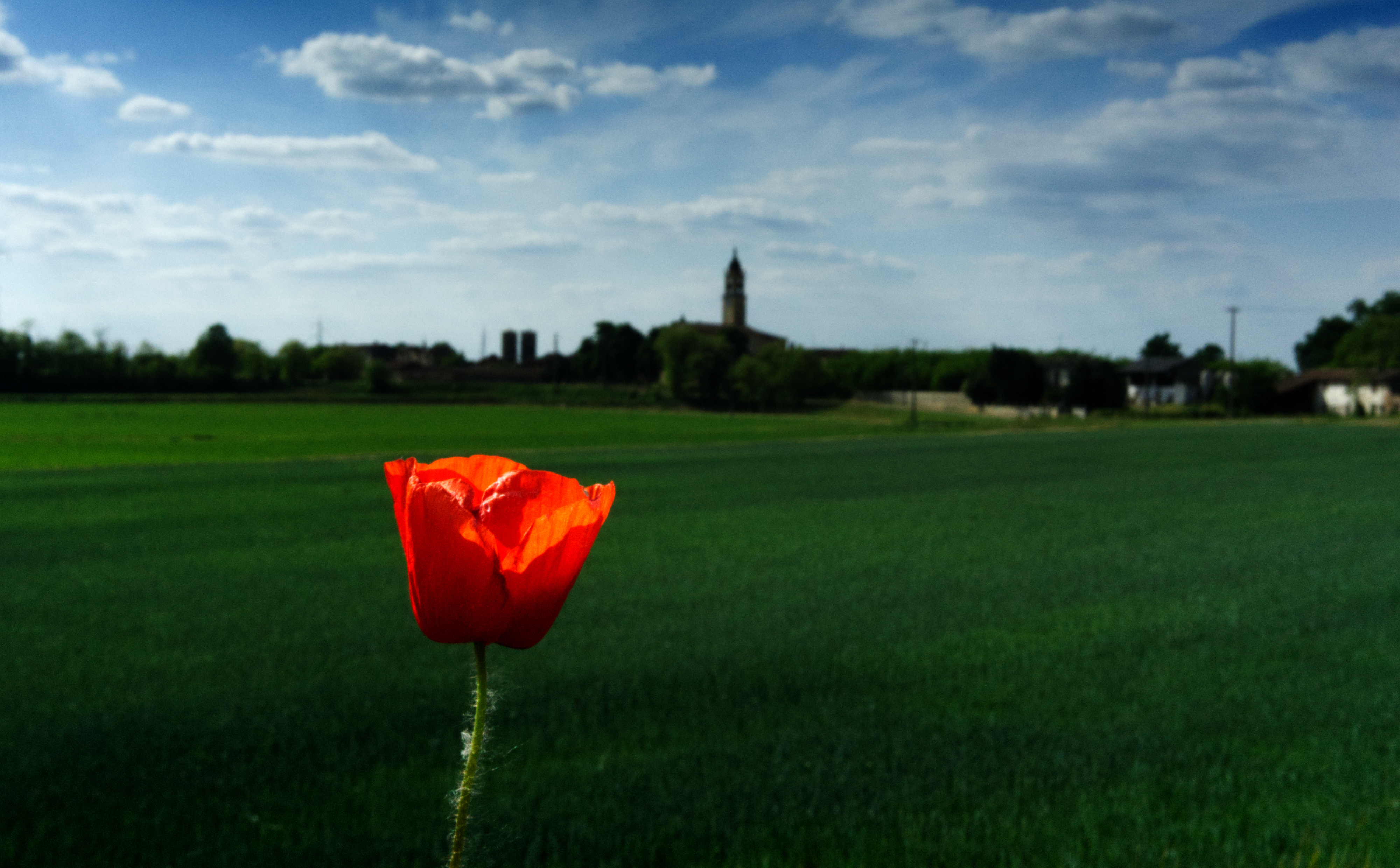 Skyline di campagna Padana... di Alex83