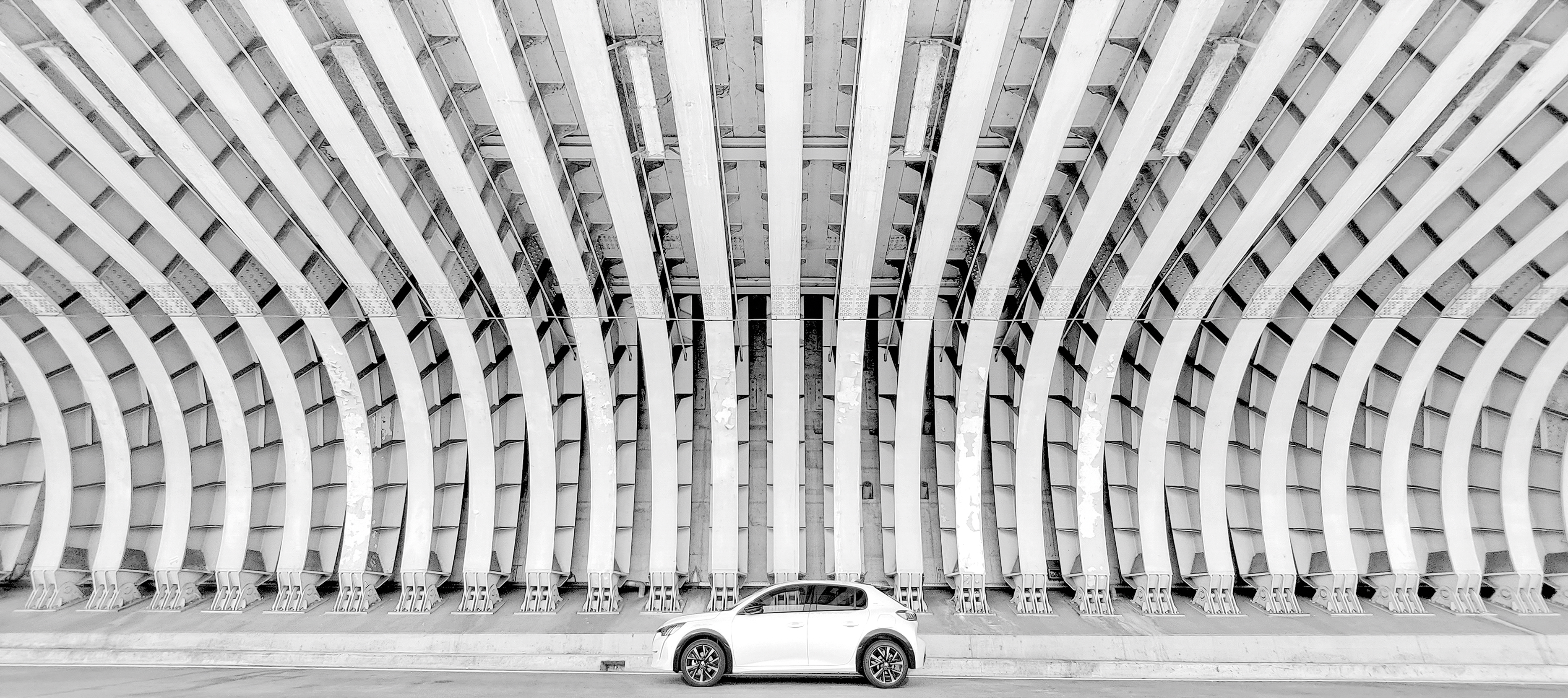 The White Pearl - Abbagliante di -Os-