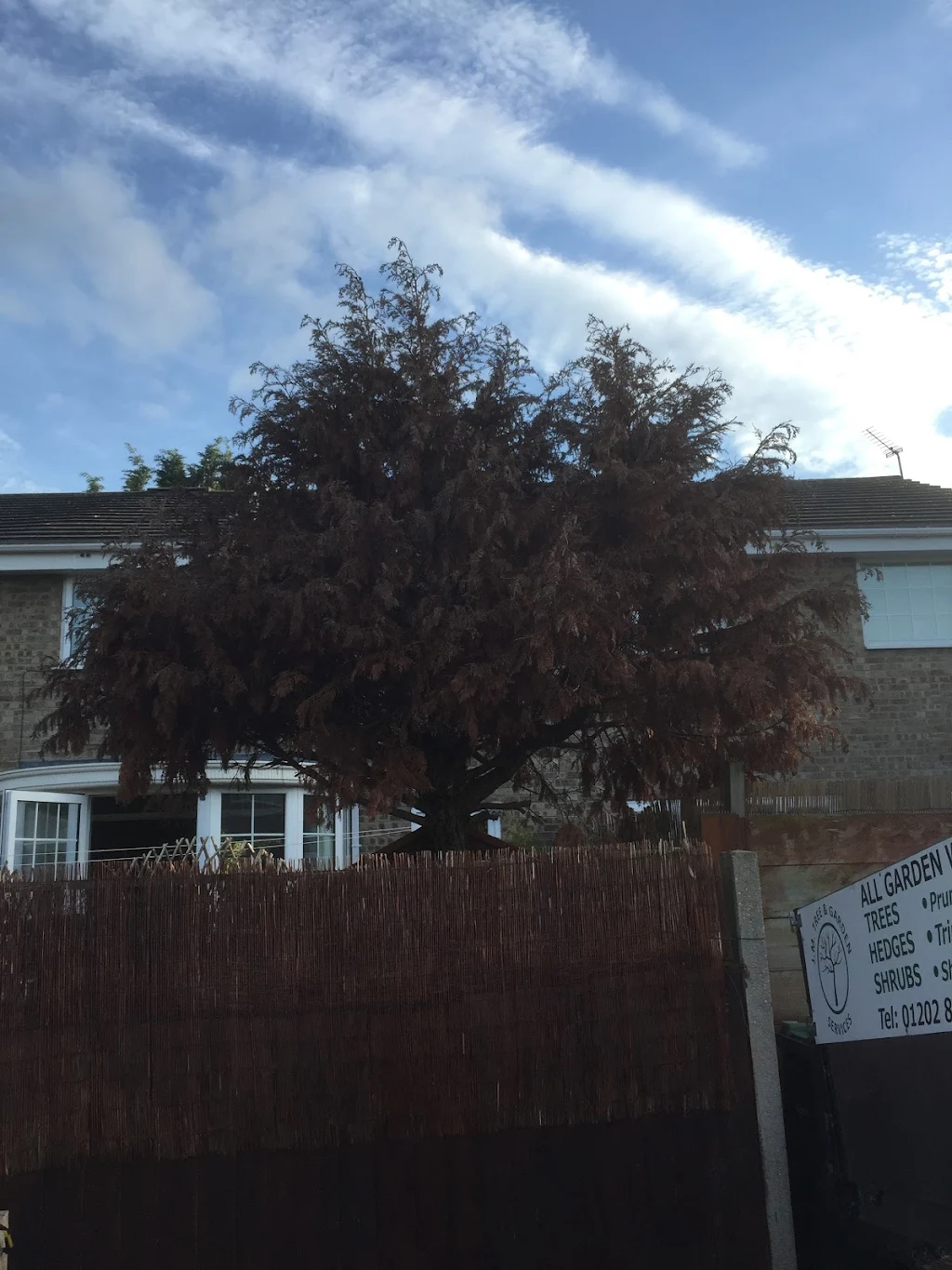 Preview of tree removal.