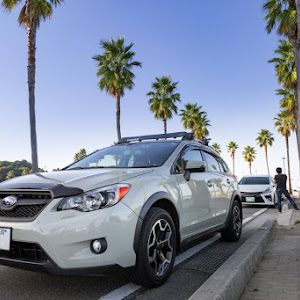 XV
