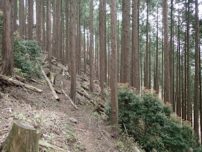 小山をトラバース