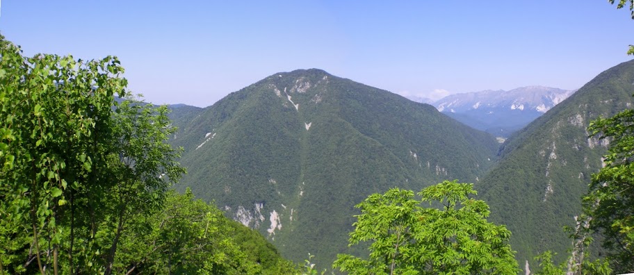 CIMG2647.JPG