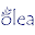 Olea Rewards Download on Windows