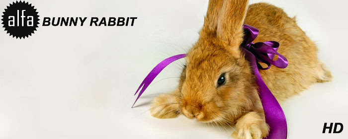 Bunny HD Wallpapers Rabbit New Tab Theme marquee promo image