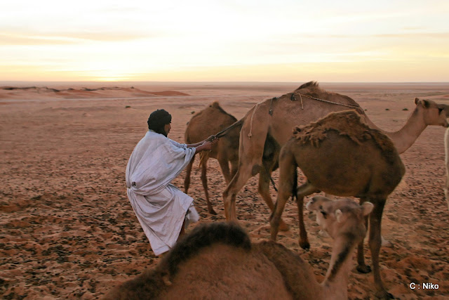 مشاهد من الصحراء والجمال JF6Y1524_DxO