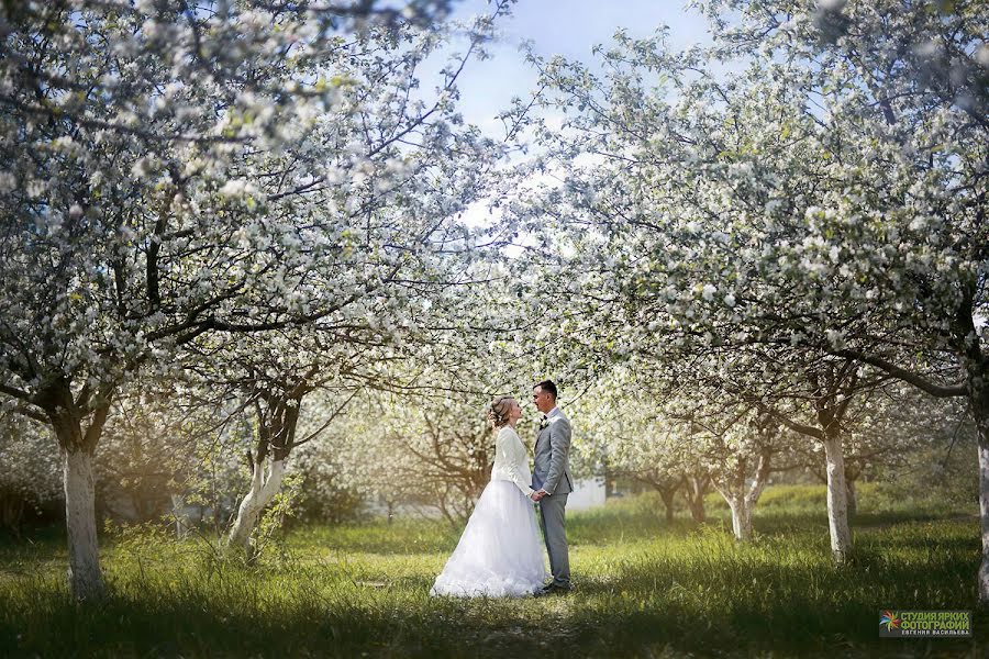 Fotógrafo de bodas Evgeniya Vasileva (yarfotki). Foto del 20 de junio 2018