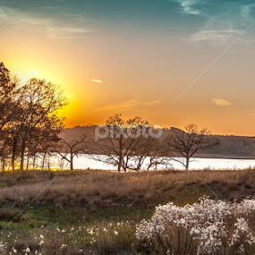 Sunset in the Park by Relu Jianu - Landscapes Prairies, Meadows & Fields