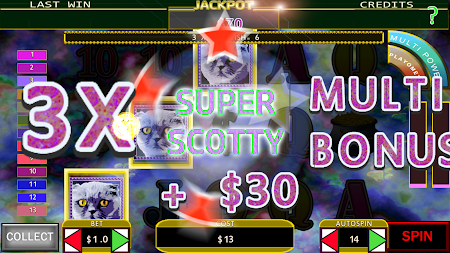 Play Cool Catz Slot Machine