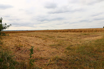 terrain à Couesmes (37)