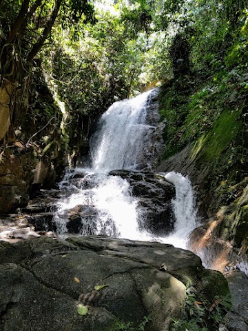 Lata Merkor Gopeng