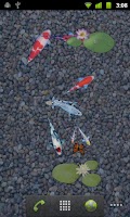 aniPet Koi LiveWallpaper Screenshot