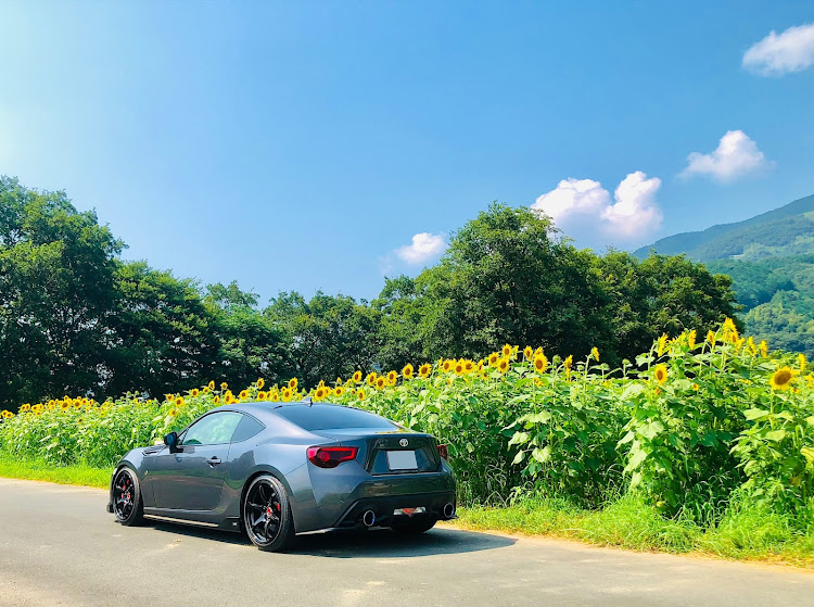 86の夏の思い出作り・ひまわり畑で写真が撮りたい・🌻ひまわりまみれ🌻・リベンジ成功✌️・ヒマワリコラボ🌻に関するカスタム事例の投稿画像6枚目