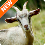 Cover Image of Скачать Goat Wallpapers HD 3.0.0 APK