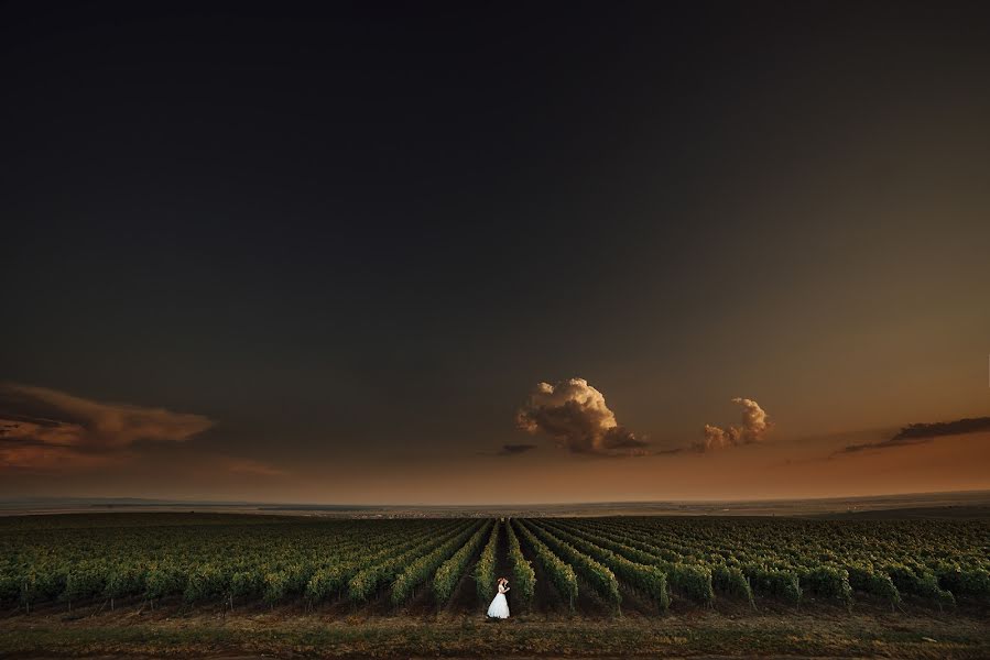 Fotógrafo de bodas Norbert Gubincsik (norbertgubincsi). Foto del 28 de agosto 2017