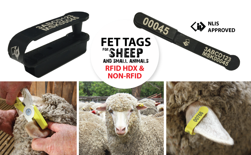 FET Tags Sheep