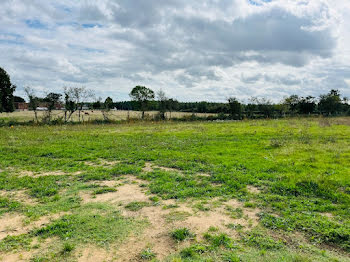 terrain à La Suze-sur-Sarthe (72)