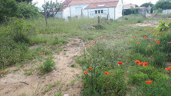 terrain à Barbâtre (85)