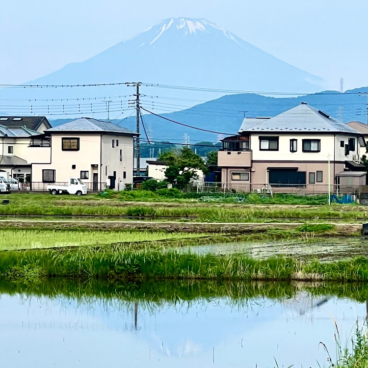 の投稿画像13枚目