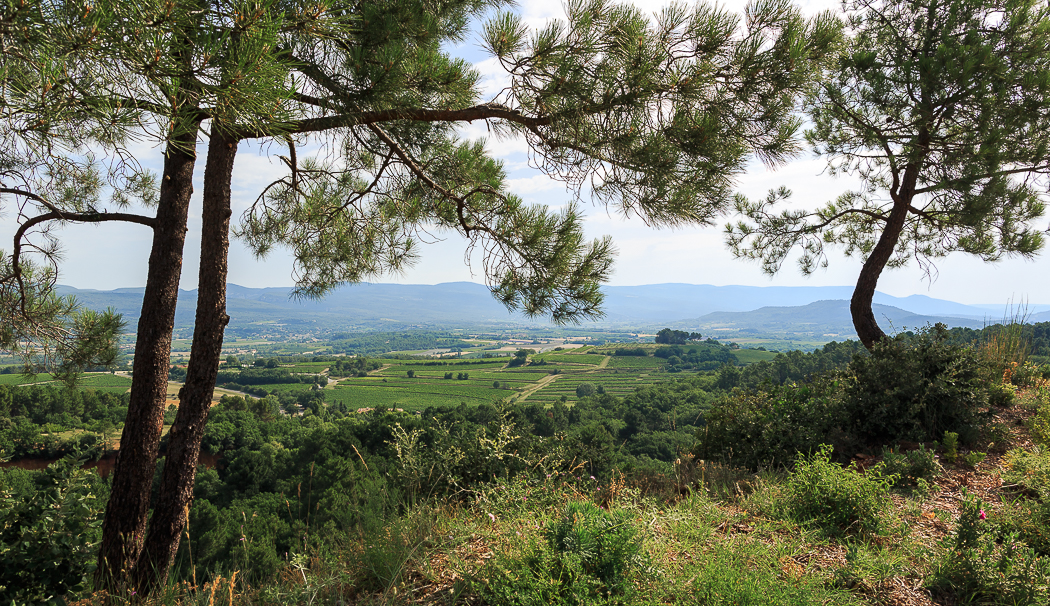 Неделя в Провансе, в окрестностях Люберона. Фотоотчет.