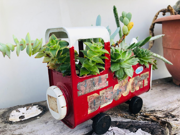 ars.go4454さんが投稿した軽トラ・トラ男・多肉植物寄せ植え・新築御祝い・オーダー品に関するカスタム事例の投稿画像1枚目