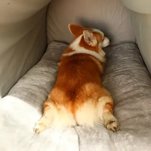 Warm Winter Cat Dog Bed Mat Deep Sleep Tent Cozy Geometric House Nest Removable Washable for Medium Large Dogs Pet Suppl