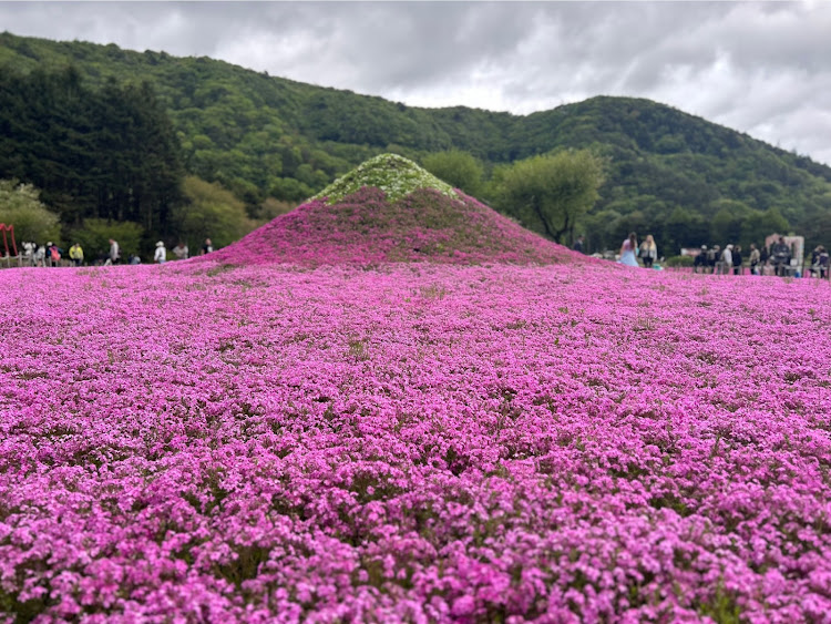 の投稿画像6枚目